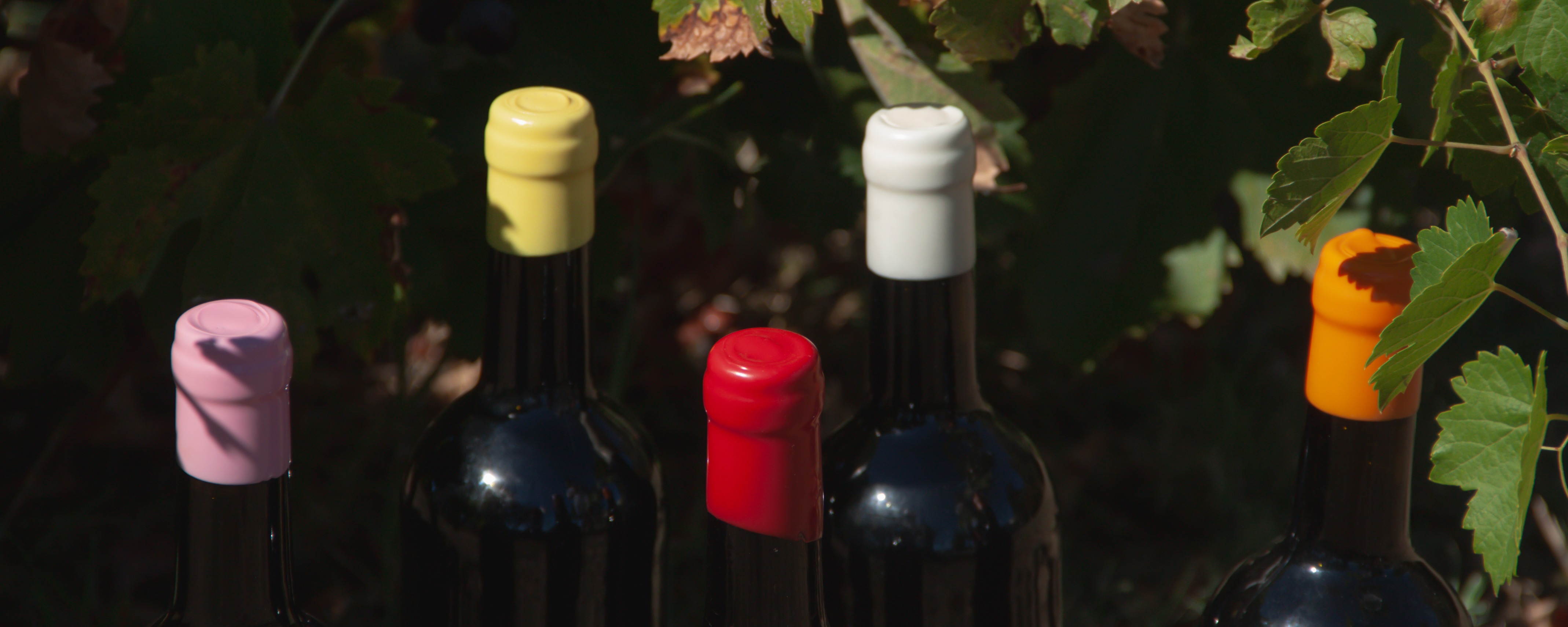 Cire à cacheter pour bouteille : comment la choisir et l’utiliser ?