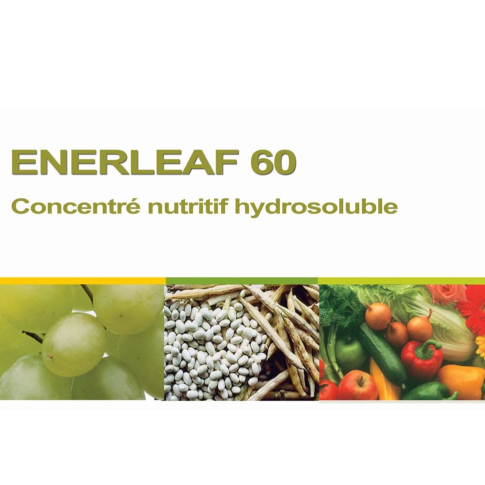 Concentré nutritif hydrosoluble ENERLEAF 60