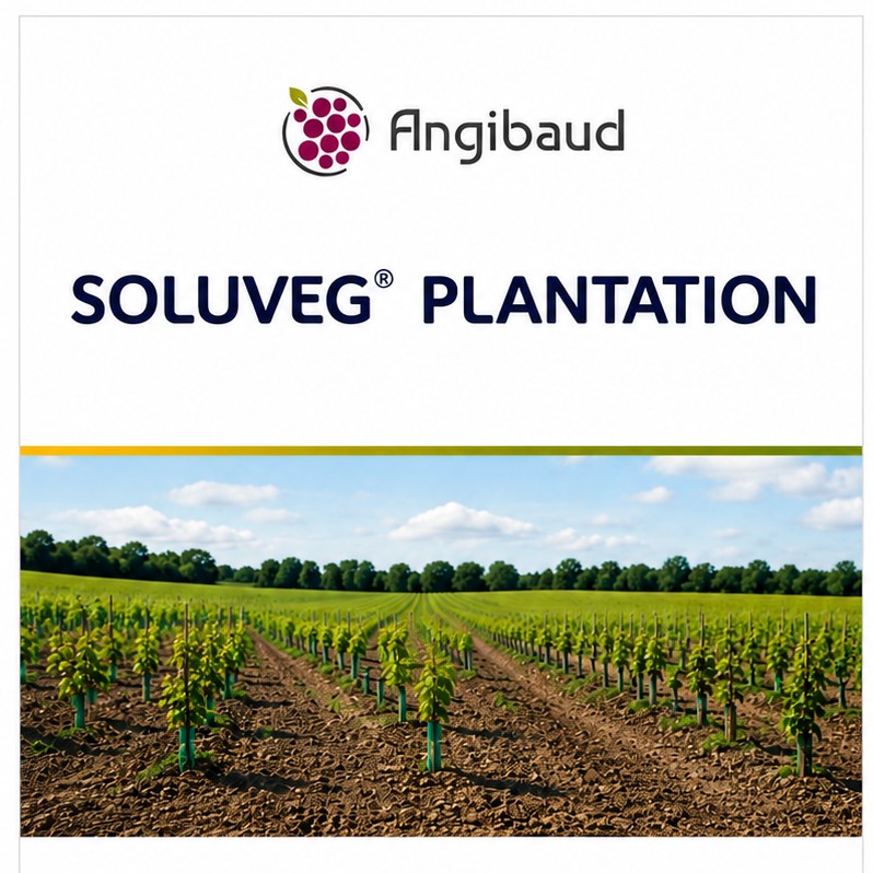 Engrais SOLUVEG® PLANTATION